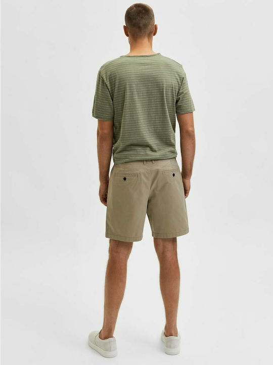 Men's Shorts Chino Chinchilla