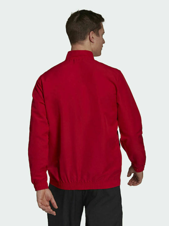 Adidas Entrada 22 Herren Jacke Lässig Rot