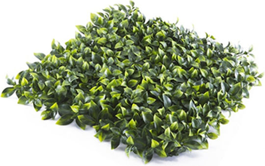 Ecoshadow 1138 Ecoshadow 1138