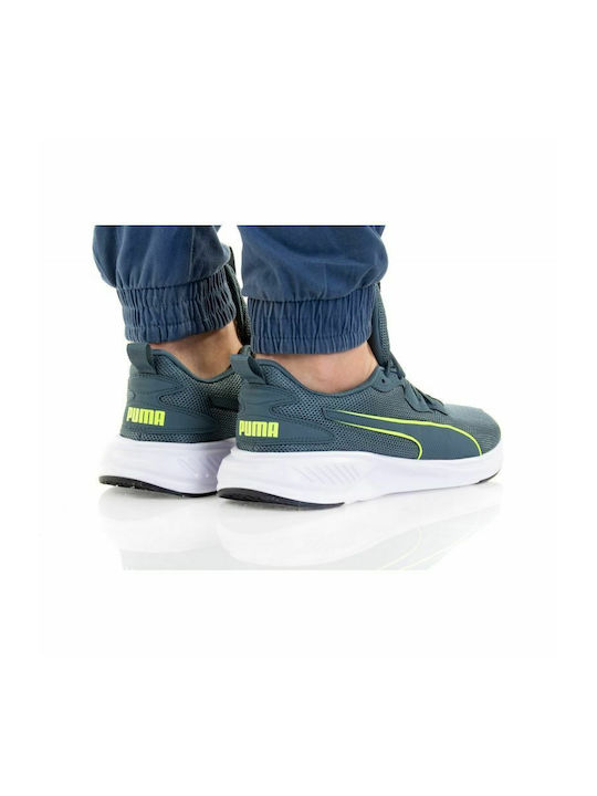 Incinerate Sport Shoes Training Gray