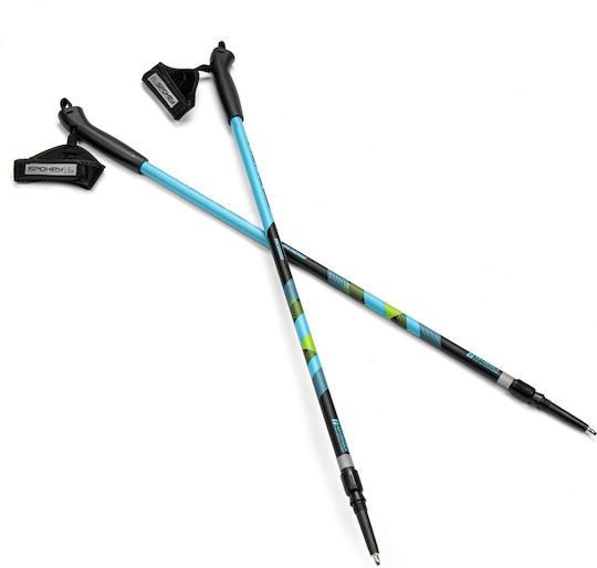 Spokey Pair of Aluminum Trekking Poles with 2 Sections Meadow II Multicolour 220gr