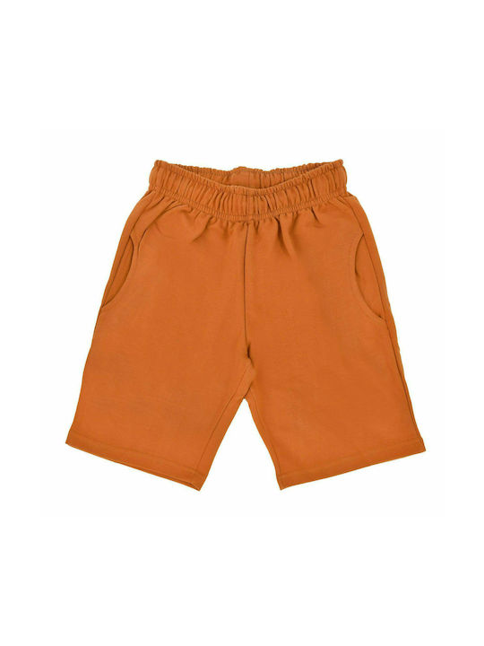 Trax Kids Shorts/Bermuda Fabric Brown