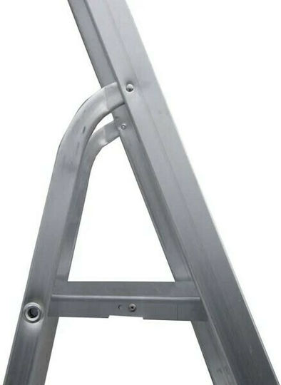 Profal Eco Ladder Aluminum with 2+1 Steps