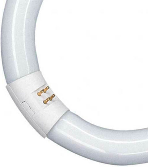 Osram Leuchtstofflampe mit Form T9 32W