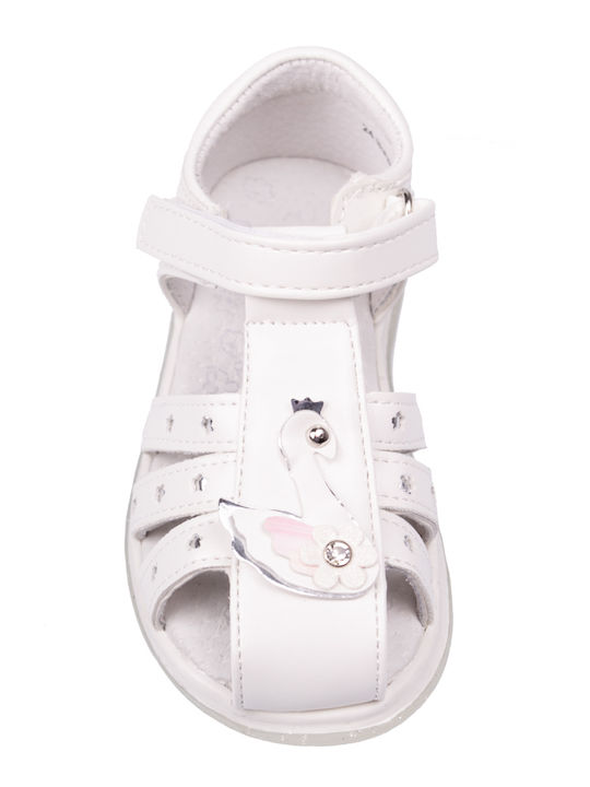 IQ Shoes