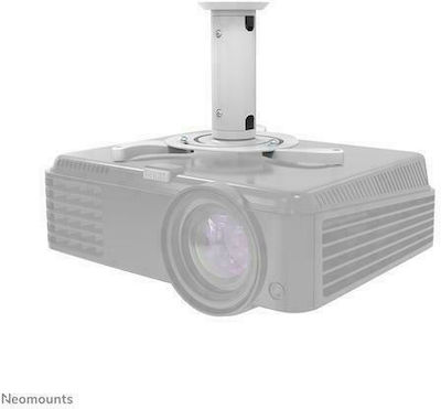 Newstar Βάση Projector Οροφής Beamer C80 με Μέγιστο Φορτίο 15kg Λευκή