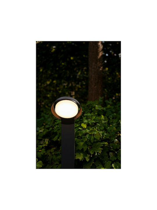 Lutec Φωτιστικό Κολωνάκι LED Εξωτερικού Χώρου 15W με Θερμό Λευκό Φως IP54 Μαύρο