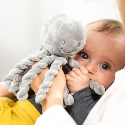 Nattou Animal Octopus made of Fabric with Music for 0++ Months