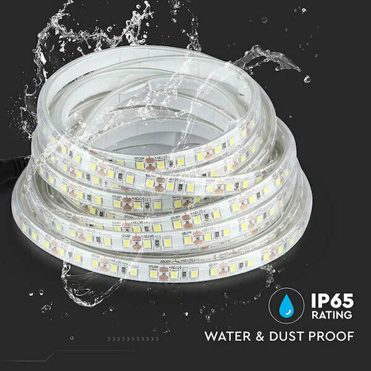 V-TAC Αδιάβροχη Ταινία LED 12V Ψυχρό Λευκό Φως 5m Τύπου SMD3528