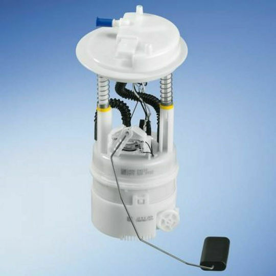 Bosch Kraftstoffpumpe für Autos für Fiat Panda Ford E-Commerce-Website