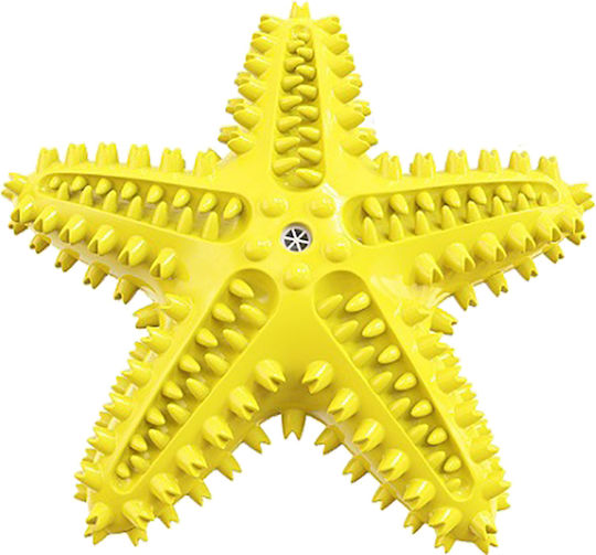 Pet Interest Squeaker Starfish Zahnpflege Zahnbürste Hund für Kleine Rassen