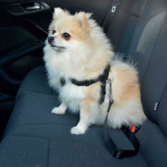 Duvo Plus Duvo Plus Sicherheitsgurt Für Hunde Auto Small 45-70cm