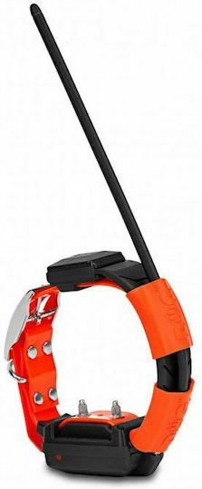Dog Trace X30T GPS Elektrisches Hundehalsband