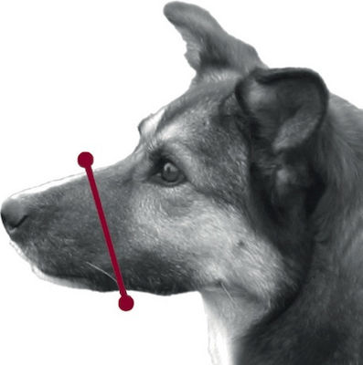 Trixie Muzzle Loop Mănușă pentru câini Antrenament Mare 82cm