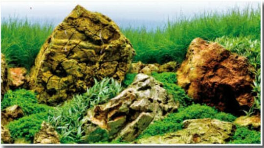 Amtra Wave Double Vision Aquarium Decoration Poster