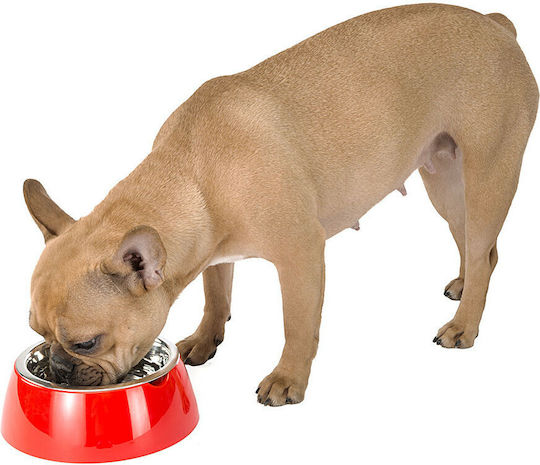 Ferplast Jolie Stainless Steel Bowl Food & Water for Dog 850ml 20cm in Green Color 70982023