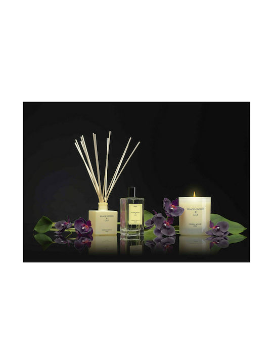 Cereria Molla Diffuser με Άρωμα Black Orchid & Lily 1323 100ml