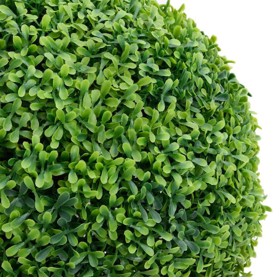 vidaXL Buxus Outdoor Tree Green vidaXL Buxus Outdoor Tree Green