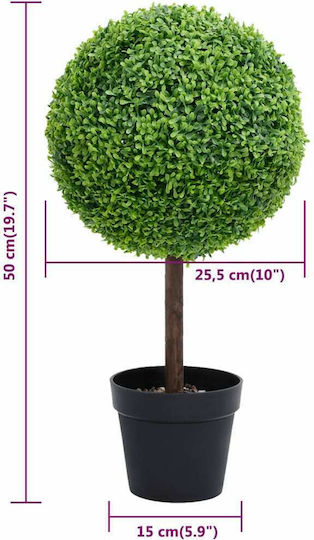 Πυξάρι Εξωτερικού Χώρου Πράσινο 50cm vidaXL
