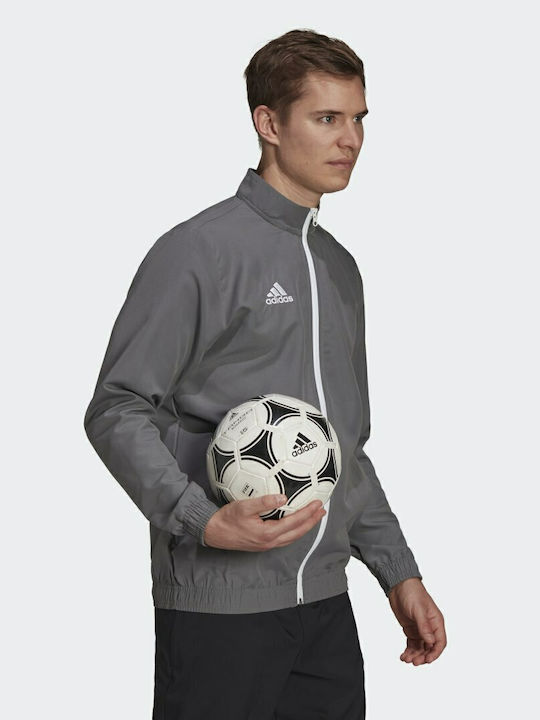 Entrada 22 Presentation Men's Gray Jacket