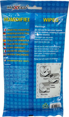 Liquid Cleaning Car Seat and Dashboard Leather Cleaning Wet Wipes 20pcs 500-246083