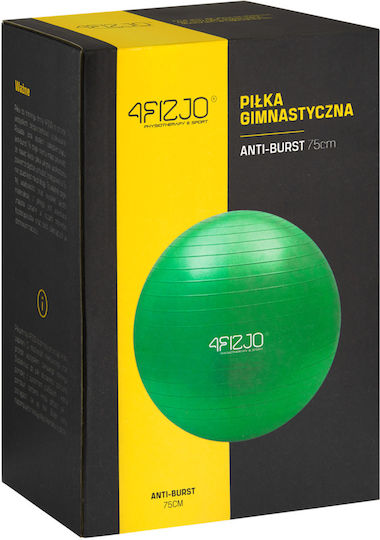 4FIZJO Ball Pilates 75cm in Grün Farbe