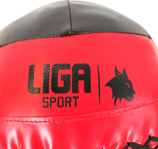 Liga Sport Μπάλες Wall 6kg σε Κόκκινο Χρώμα