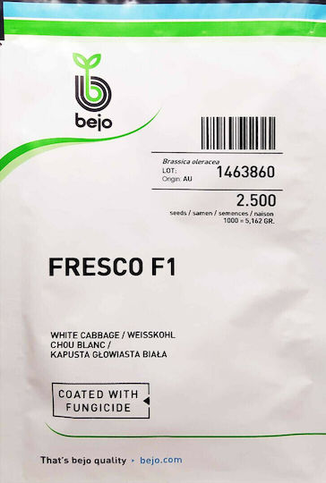 Bejo Σπόροι Λάχανου Fresco Πράσινο 2500τμχ