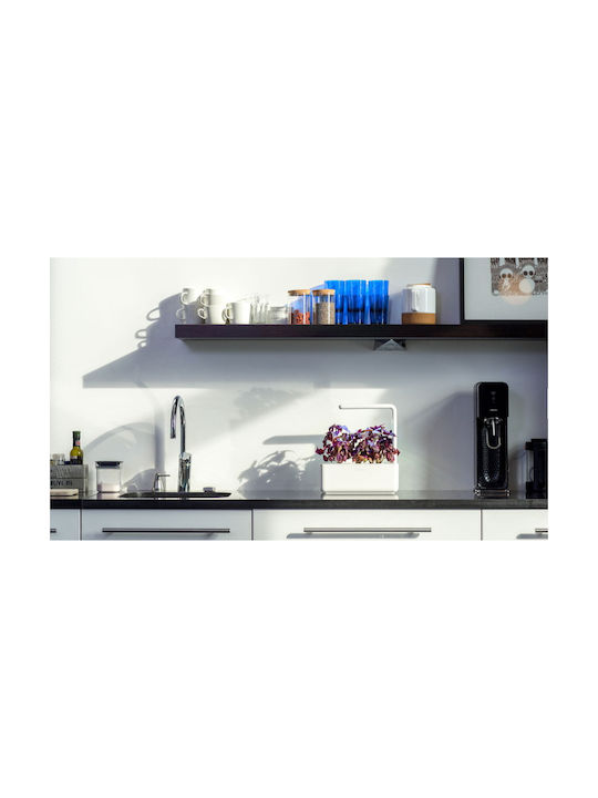 Click and Grow The Smart Garden 3 Self-watering Planter Box Plastic Gray 32x13.5x23cm.
