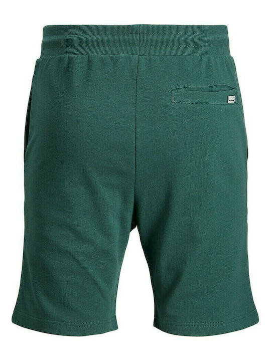 Jack & Jones Sportliche Herrenshorts Grün