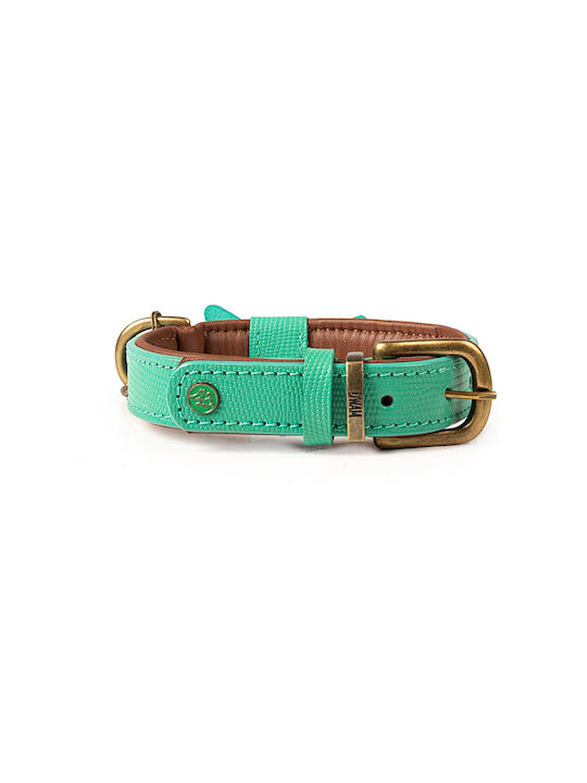 DWAM Boomer Guler pentru câini în culoarea Verde Mici 20mm x 28 - 34cm