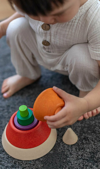 Plan Toys Играчка за подреждане Конус за сортиране от дърво за 18++ месеца