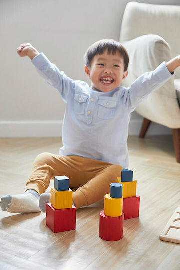 Plan Toys Παιχνίδι Ταξινόμησης Σχημάτων Σχήματα σε Φωλίτσες από Ξύλο για 18+ Μηνών