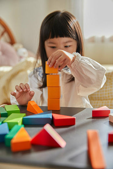 Plan Toys Τουβλάκια Tα Κλάσματα Ξύλινα για 2+ Ετών 23τμχ