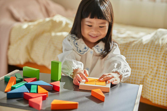 Plan Toys Τουβλάκια Tα Κλάσματα Ξύλινα για 2+ Ετών 23τμχ