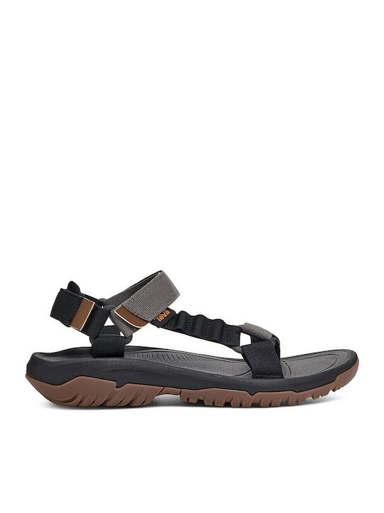 Teva