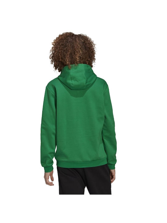 Adidas Entrada 22 Men's Sweatshirt with Hood and Pockets Green