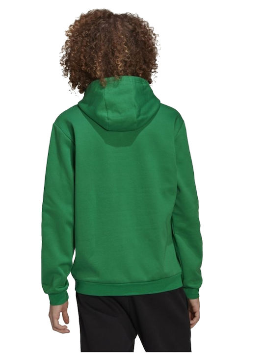 Entrada 22 Sweatshirt with Hood Green