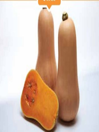 Sakata Σπόροι Κολοκύθας Butternut 1000τμχ