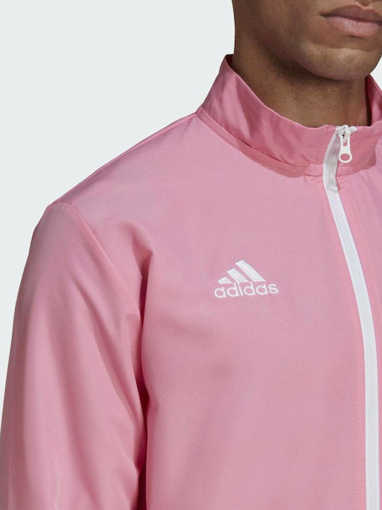 Entrada 22 Αθλητικό Μπουφάν Semi Pink Glow