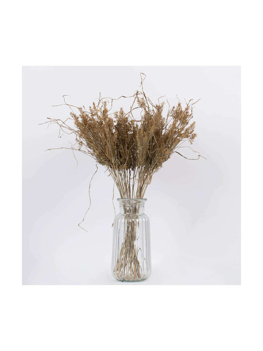 Plantă Uscată Iarbă decorativă Bej 60cm GloboStar