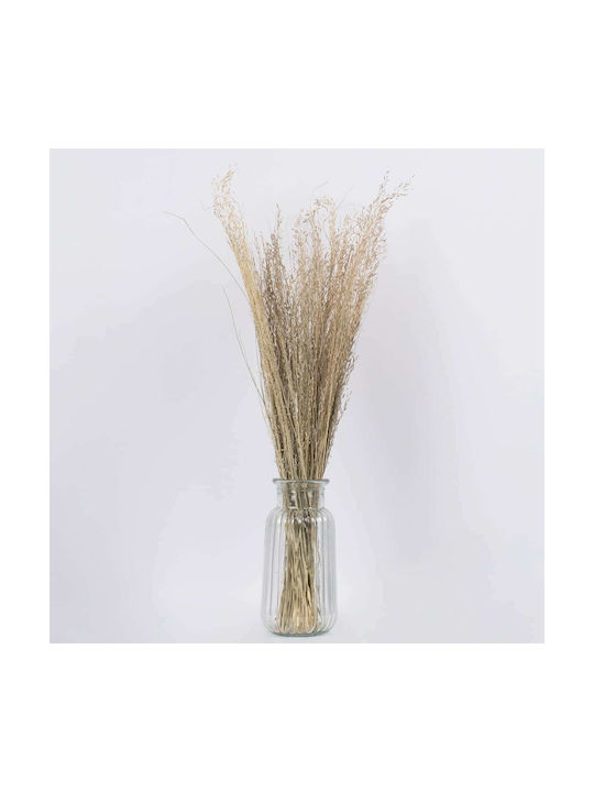 Dried Plant Silver Chloe Beige 60cm GloboStar