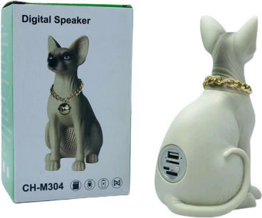 CH-M304 Bluetooth-Lautsprecher 3W mit Radio Beige