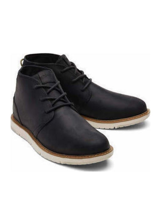 Toms