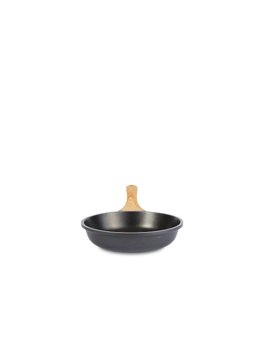 Gruppe Cookin Pan made of Aluminum with Non-Stick Coating 20cm