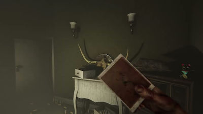 MADiSON PS4 Game
