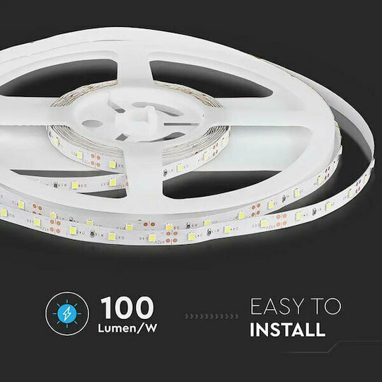 V-TAC LED Strip 12V Cold White Light 5m Type SMD3528