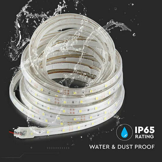 V-TAC Wasserdicht LED-Streifen 12V Natürliches Weiß Licht 5m Typ SMD3528