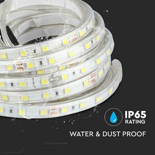 V-TAC Waterproof LED Strip 24V Warm White Light 5m Type SMD5050