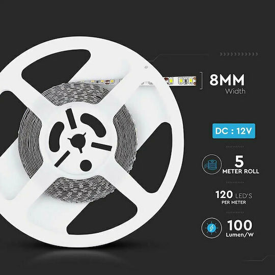 V-TAC Ταινία LED 12V Ψυχρό Λευκό Φως 5m Τύπου SMD3528